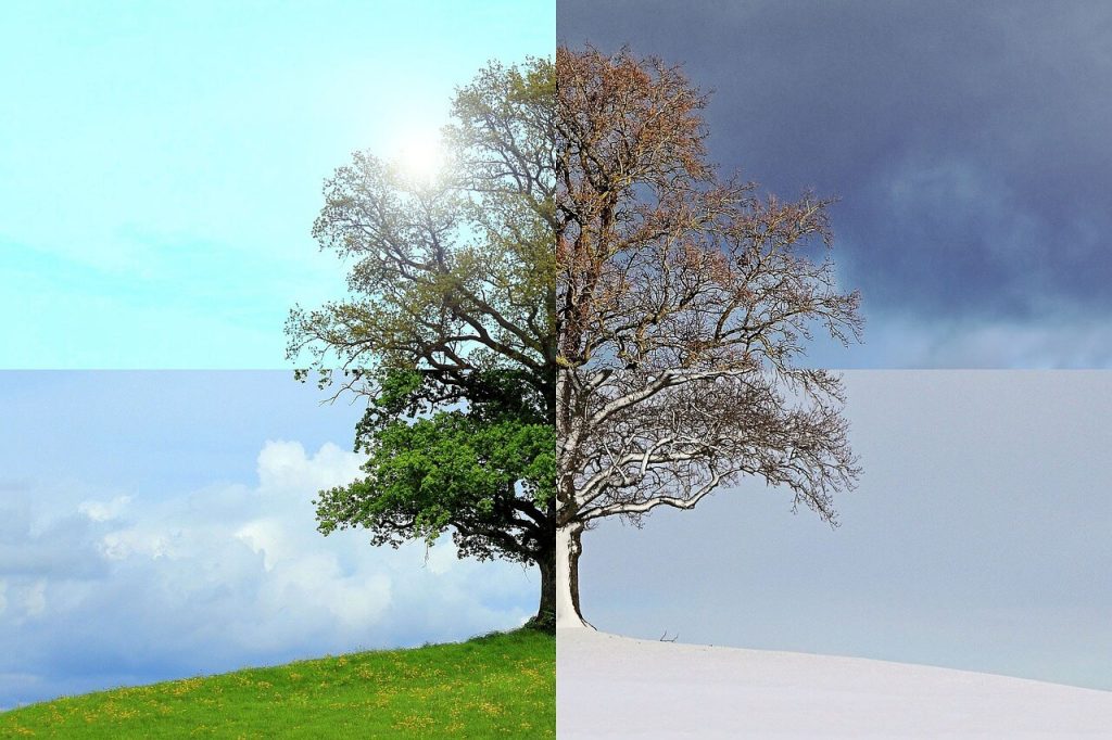 percorso di counseling per superare momenti difficili e ritrovare equilibrio